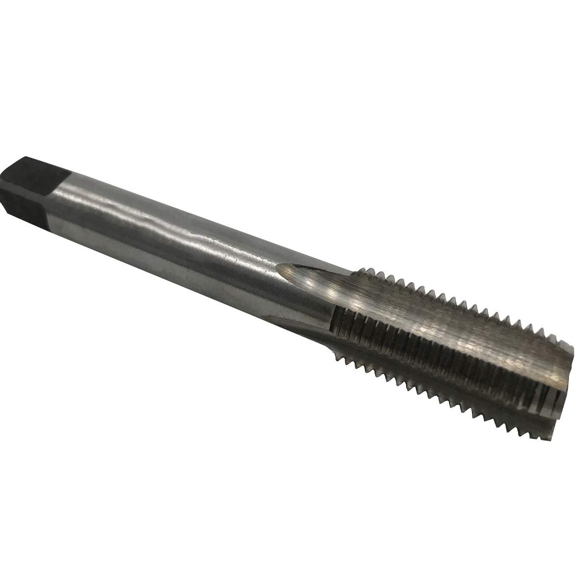 M12TAPT